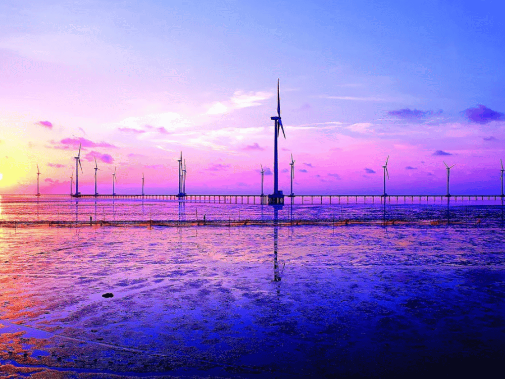 Lịch sử và quy mô