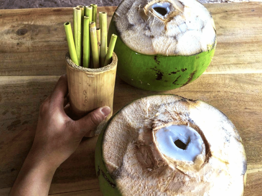 Ẩm thực gắn liền bảo vệ môi trường