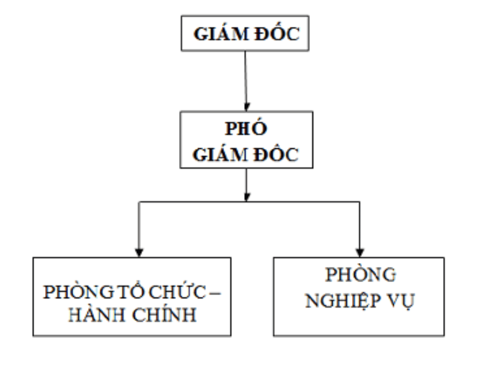 Sơ đồ tổ chức