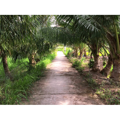 Trải nghiệm du lịch thuận thiện