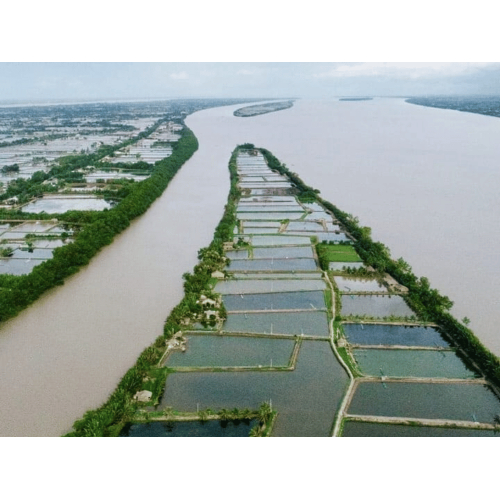 Khung cảnh về đêm gây thương nhớ