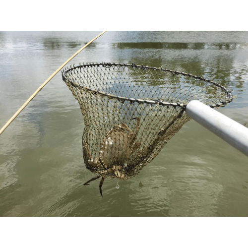 Tận hưởng hành trình khó quên