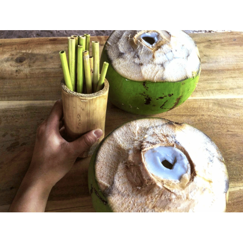 Ẩm thực gắn liền bảo vệ môi trường