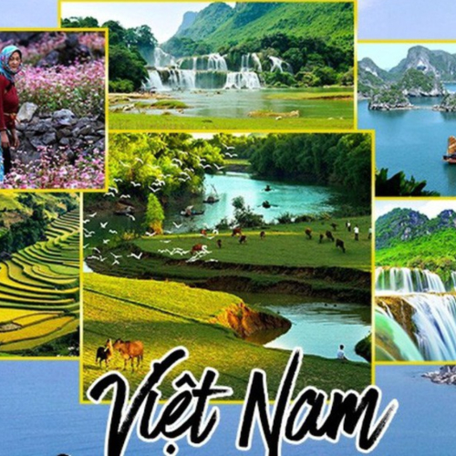 Tập Trung Nâng Cao Chất Lượng, Sức Cạnh Tranh Của Du Lịch Việt Nam