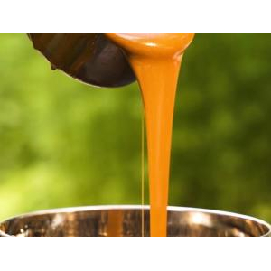 Palmania Joint Stock Company