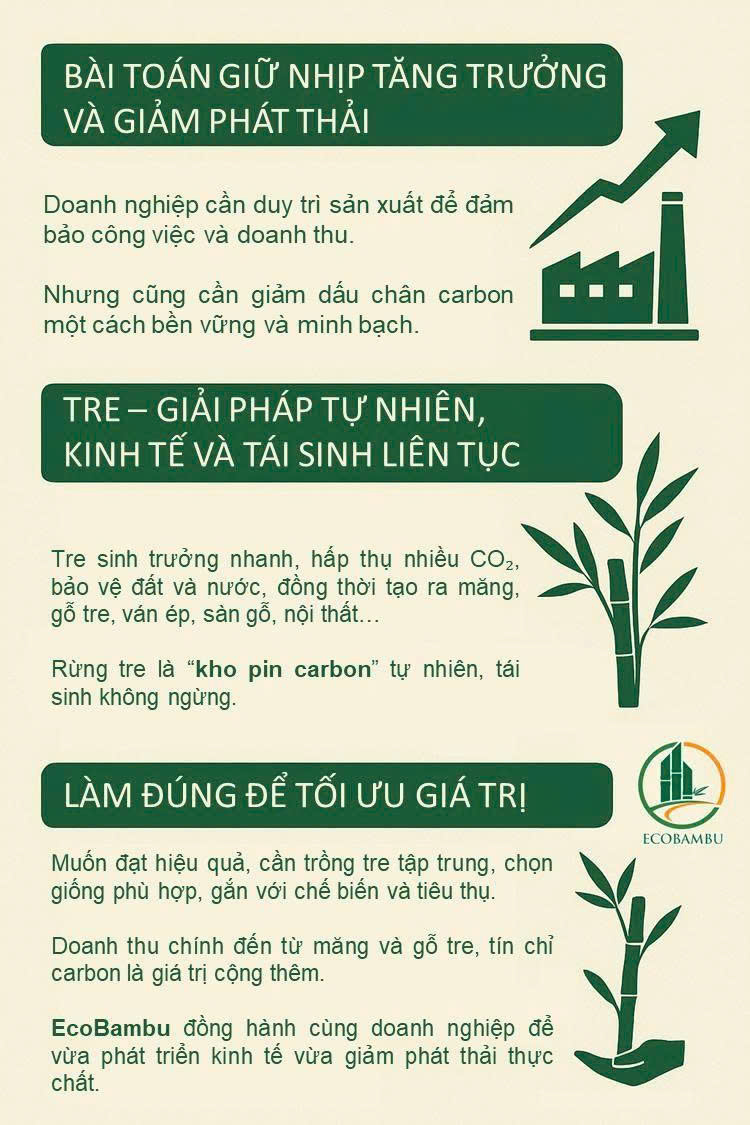 Lối đi thực tế
