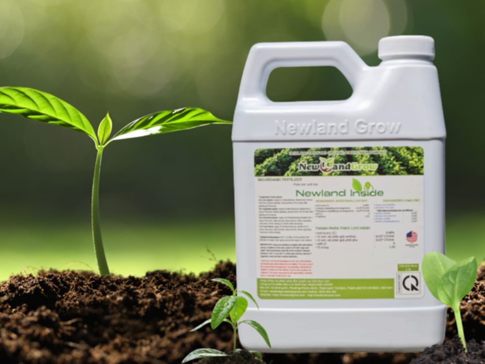 Newland inside Chai Vuông 1L