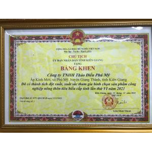 Chứng Nhận & Bằng Khen Thảo Điền Phú Mỹ