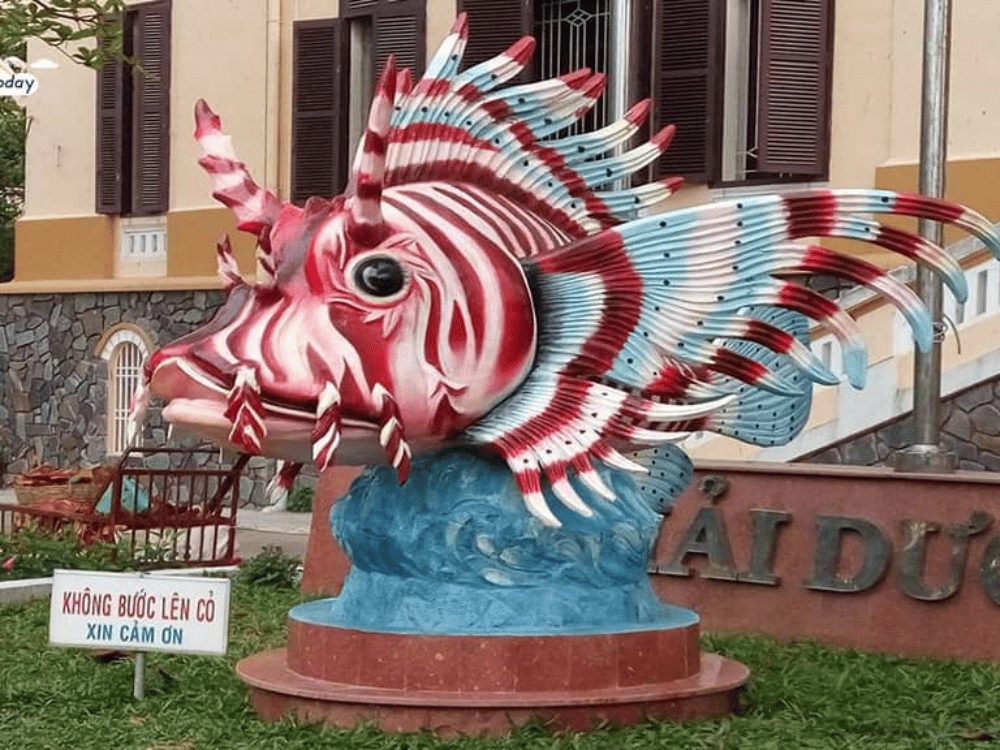 Giới thiệu sơ lược