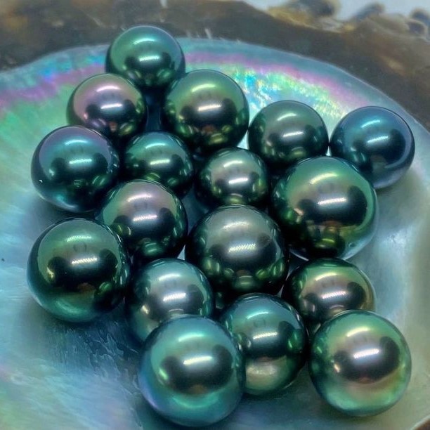 Ngọc Trai Đen Đến Từ Đâu? Hành Trình Hình Thành Của Viên Ngọc Quyền Lực