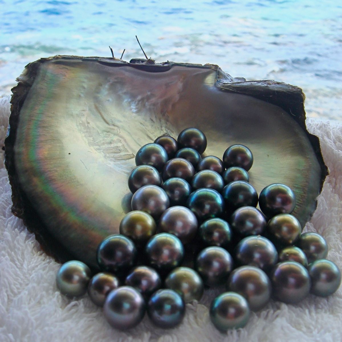 Không Chỉ Đẹp Mà Ngọc Trai Tahiti Còn Mang Trong Mình Nhiều Ý Nghĩa