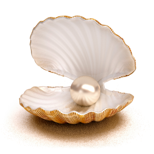 Độ Bóng Của Ngọc Trai Quan Trọng Thế Nào?