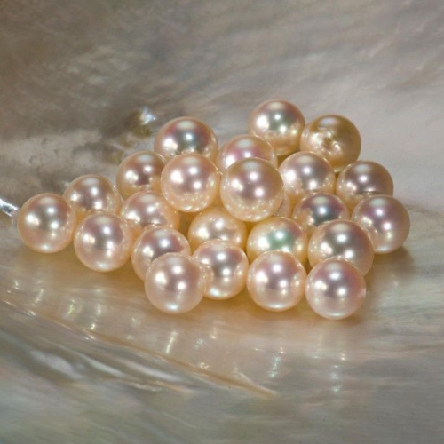 Ngọc Trai Xuất Hiện Trong Sính Lễ Cưới – Biểu Tượng Của Hạnh Phúc Và Viên Mãn