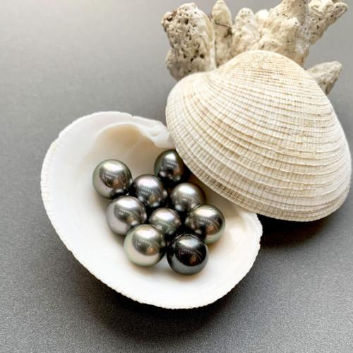 Quá Trình Hình Thành Một Viên Ngọc Trai South Sea Mất Bao Lâu?