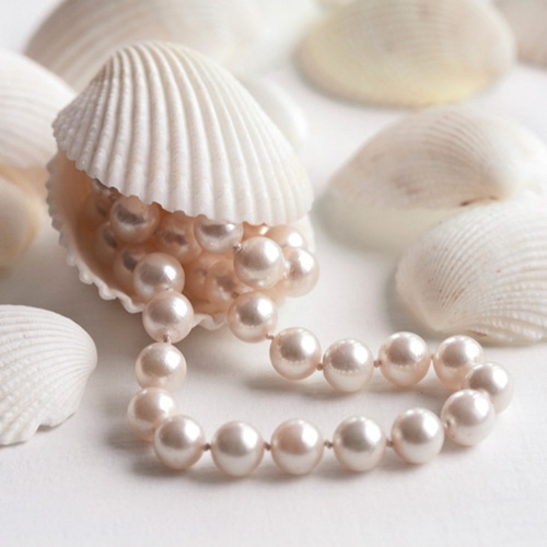 Ngọc Trai Tự Nhiên và Ngọc Trai Nuôi Cấy Khác Nhau Như Thế Nào?