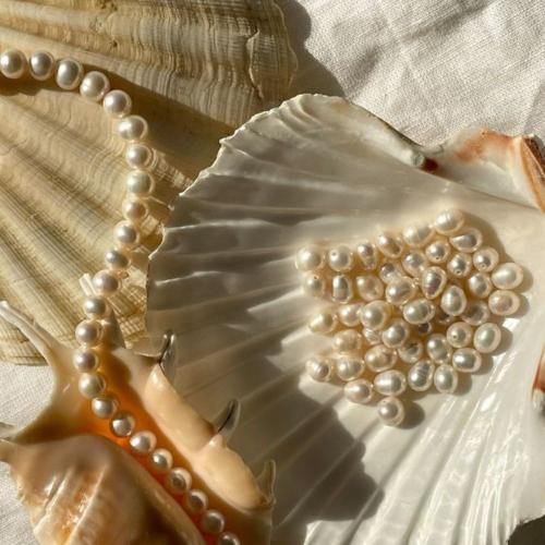 Ngọc Trai Có Bị Ảnh Hưởng Bởi Môi Trường Không?