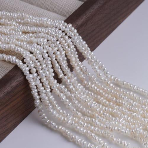 Những Sự Thật Thú Vị Về Ngọc Trai Nước Ngọt