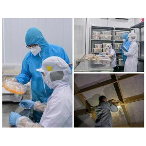 Hung Diem Trading & Services Co., Ltd