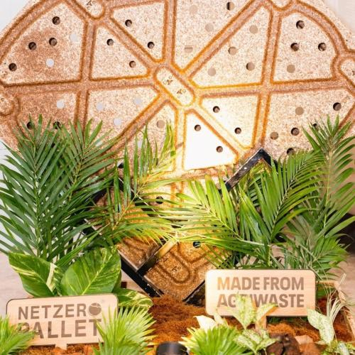 Biến Xơ Dừa, Vỏ Trấu Thành Hàng Triệu Tấm Pallet Sinh Học