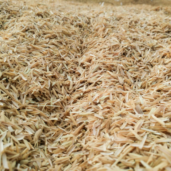 Sử Dụng Trấu Giúp Giảm Phân Bón Hóa Học Ra Sao?