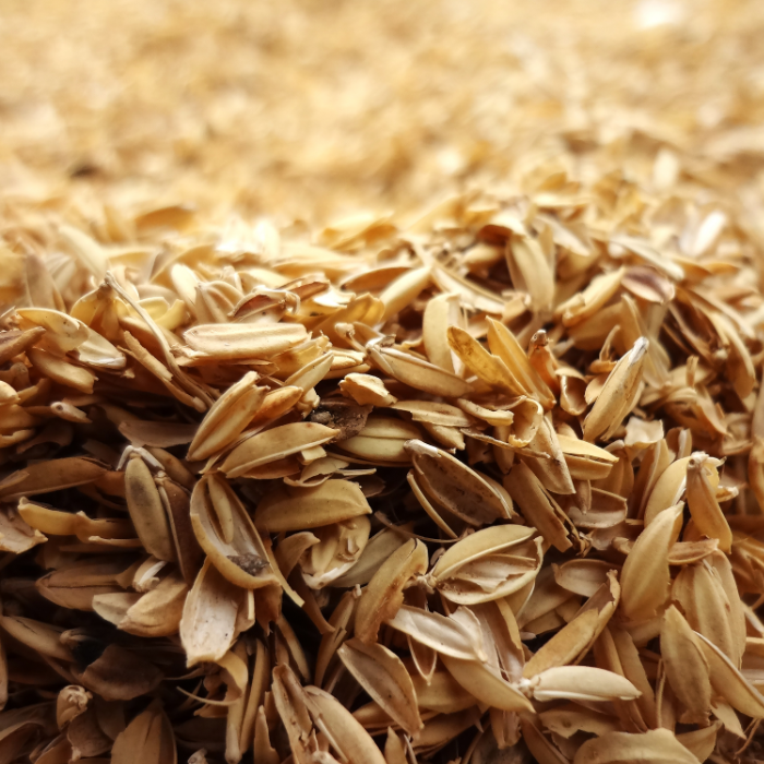 Trấu Giúp Phục Hồi Đất Bạc Màu Như Thế Nào?