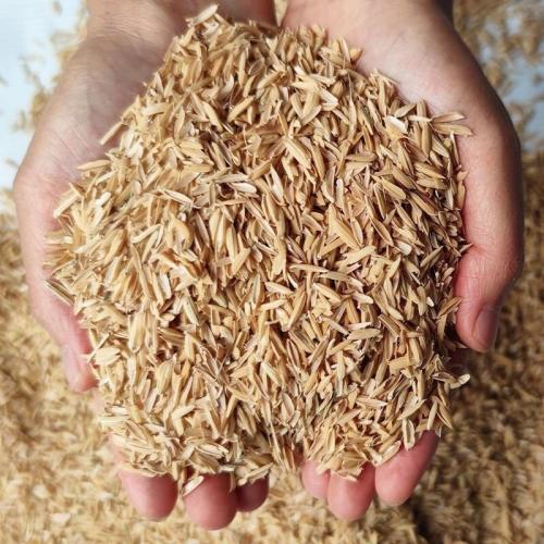 Vai Trò Của Trấu Trong Mô Hình Nông Nghiệp Tuần Hoàn