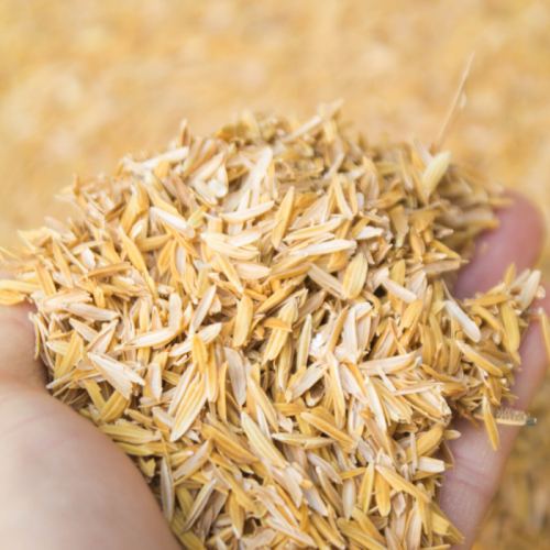 Trấu Trong Sản Xuất đồ Gia Dụng Sinh Thái