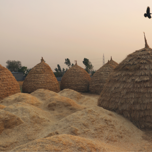 So Sánh Trấu Với Than Đá Và Củi Truyền Thống