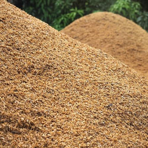 Trộn Vỏ Trấu Vào Đất Tác Dụng Và Cách Sử Dụng Hiệu Quả