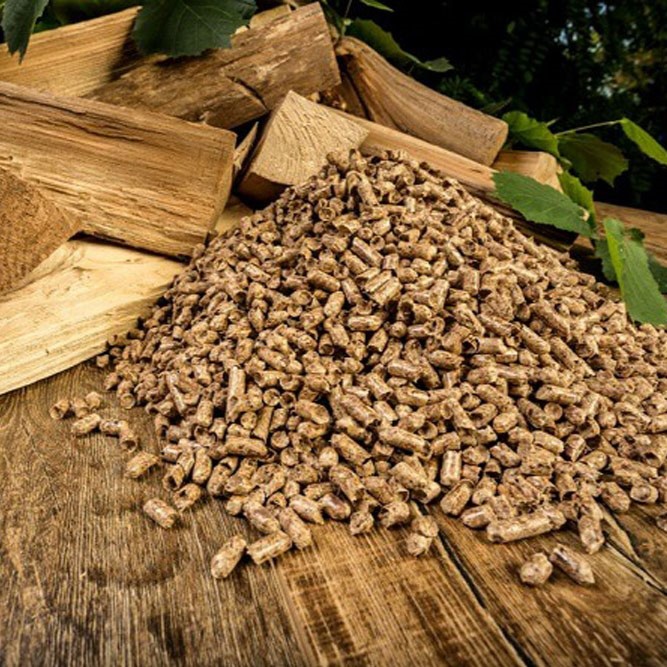 Chứng Nhận Chất Lượng Viên Nén Trấu Minh Chứng Cho Tiềm Năng Chinh Phục Thế Giới