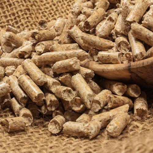 Trấu Viên Có Thực Sự Là Bước Chuyển Mình Cho Sản Xuất Xanh?