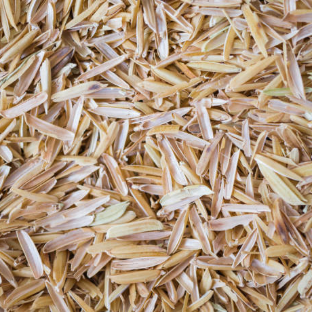 Tận Dụng Vỏ Trấu Để Tạo Năng Lượng Tái Tạo