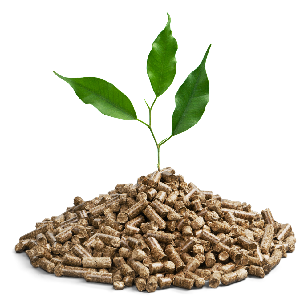 Logistics Xanh và Viên Nén Trấu: Lời Giải Cho Bài Toán Chuỗi Cung Ứng Bền Vững