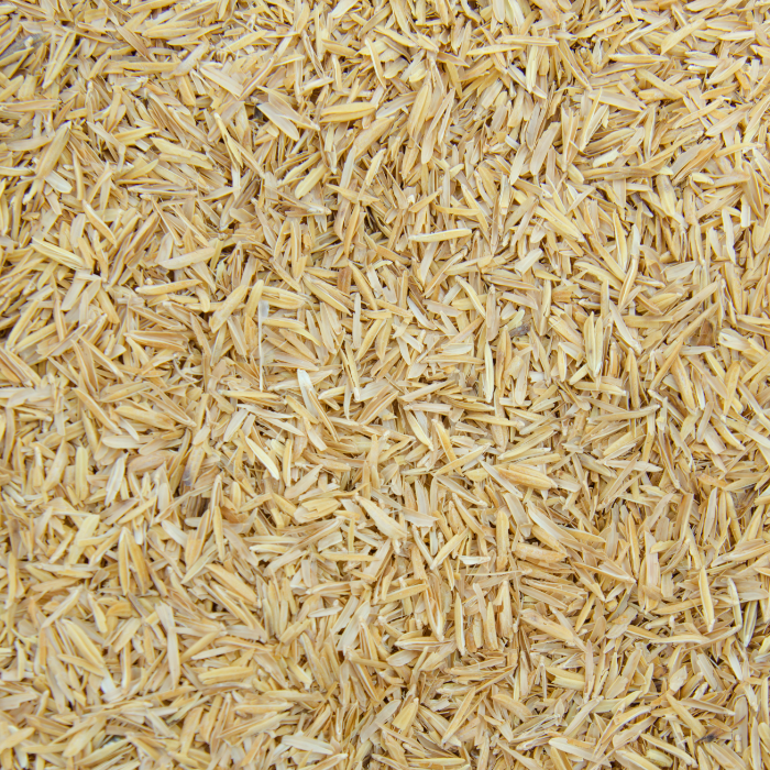 Trấu Có Thể Tái Sử Dụng Bao Nhiêu Lần?