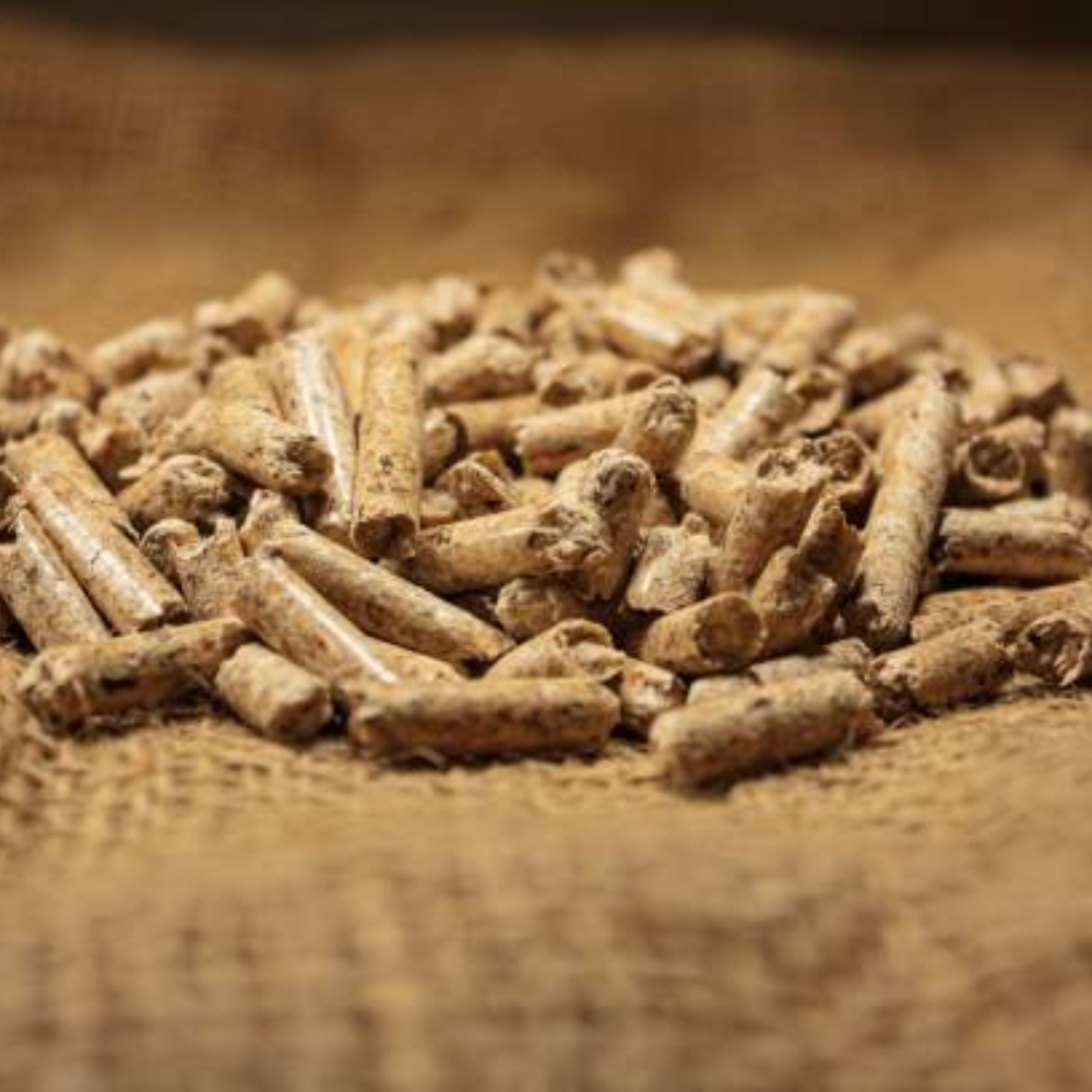 Độ Ẩm Của Trấu Viên Ảnh Hưởng Đến Hiệu Quả Đốt Ra Sao?