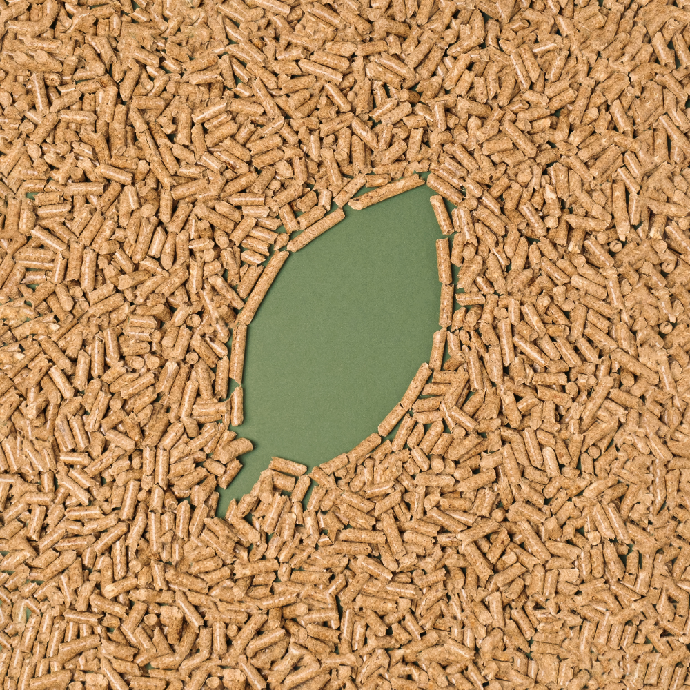 Viên Nén Trấu Lợi Thế Trong Cuộc Đua Năng Lương