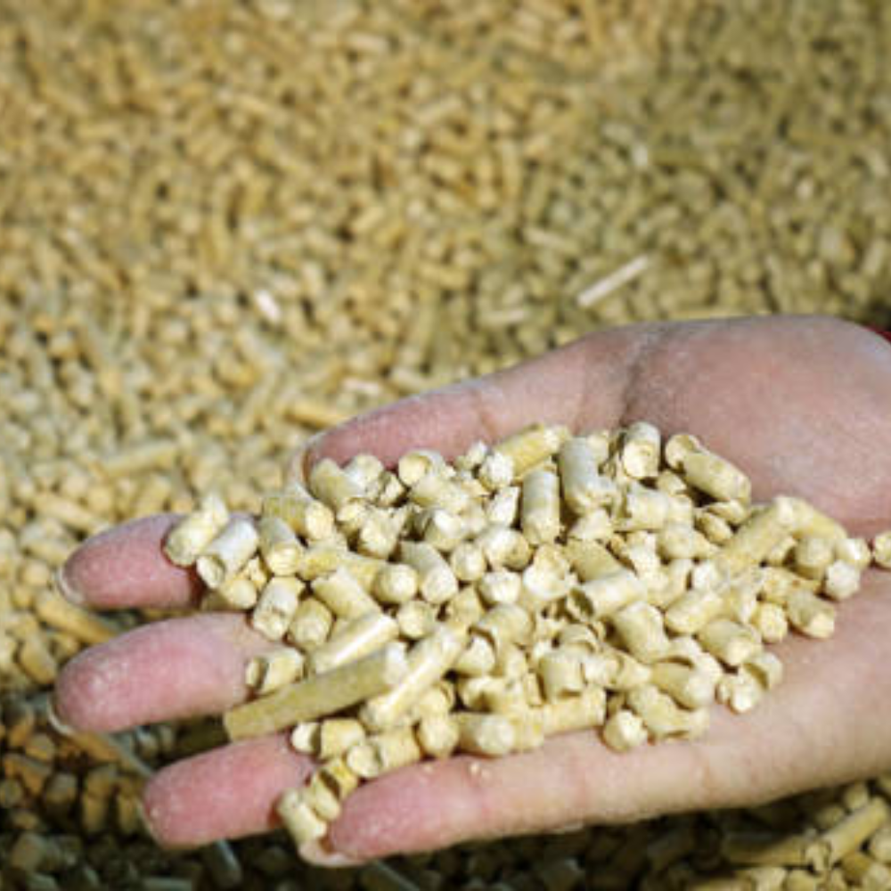 Hiệu Quả Kinh Tế Khi Chuyển Từ Than Sang Trấu Viên