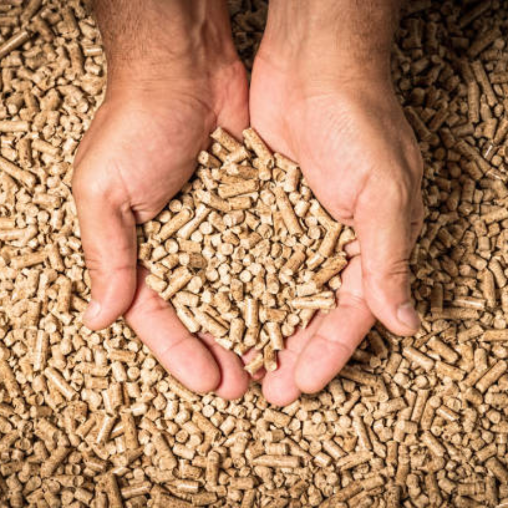 Trấu Viên Giúp Giảm Phát Thải Khí CO2 Như Thế Nào?