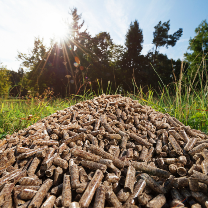 Trấu Viên Khác Gì so Với Trấu Thông Thường?