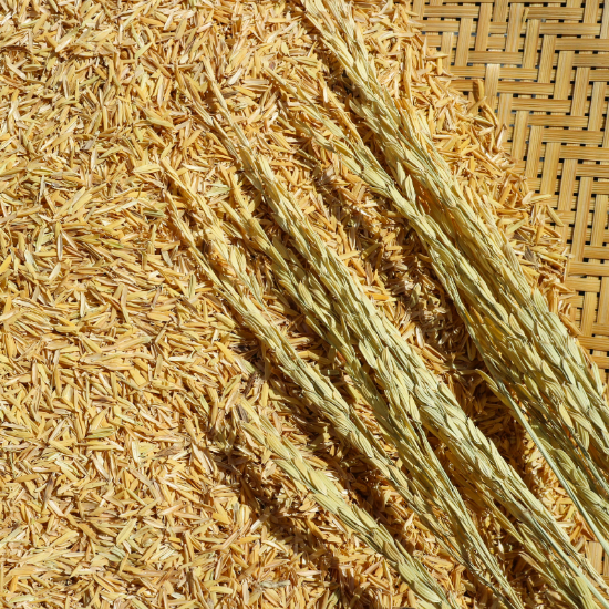 Trấu Được Tạo Ra Như Thế Nào Trong Quá Trình Xay Xát Lúa?