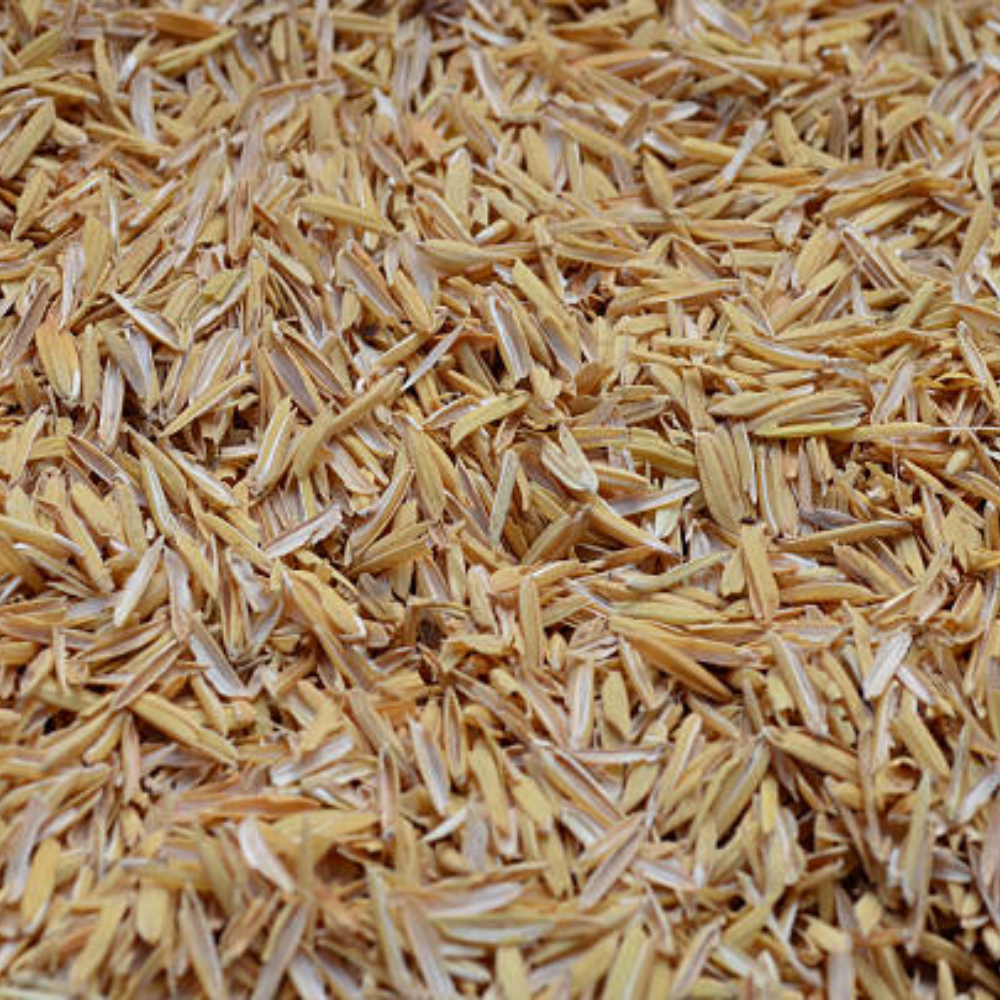 Vì Sao Vỏ Trấu Nhẹ Nhưng Cách Nhiệt Tốt?