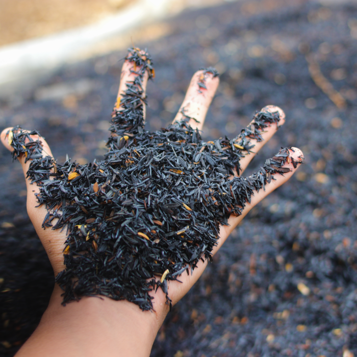 Trấu Dùng Làm Chất Đốt Trong Các Lò Hơi Công Nghiệp