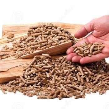 Tại Sao Ngày Càng Nhiều Doanh Nghiệp Chuyển Sang Sử Dụng Trấu Nén