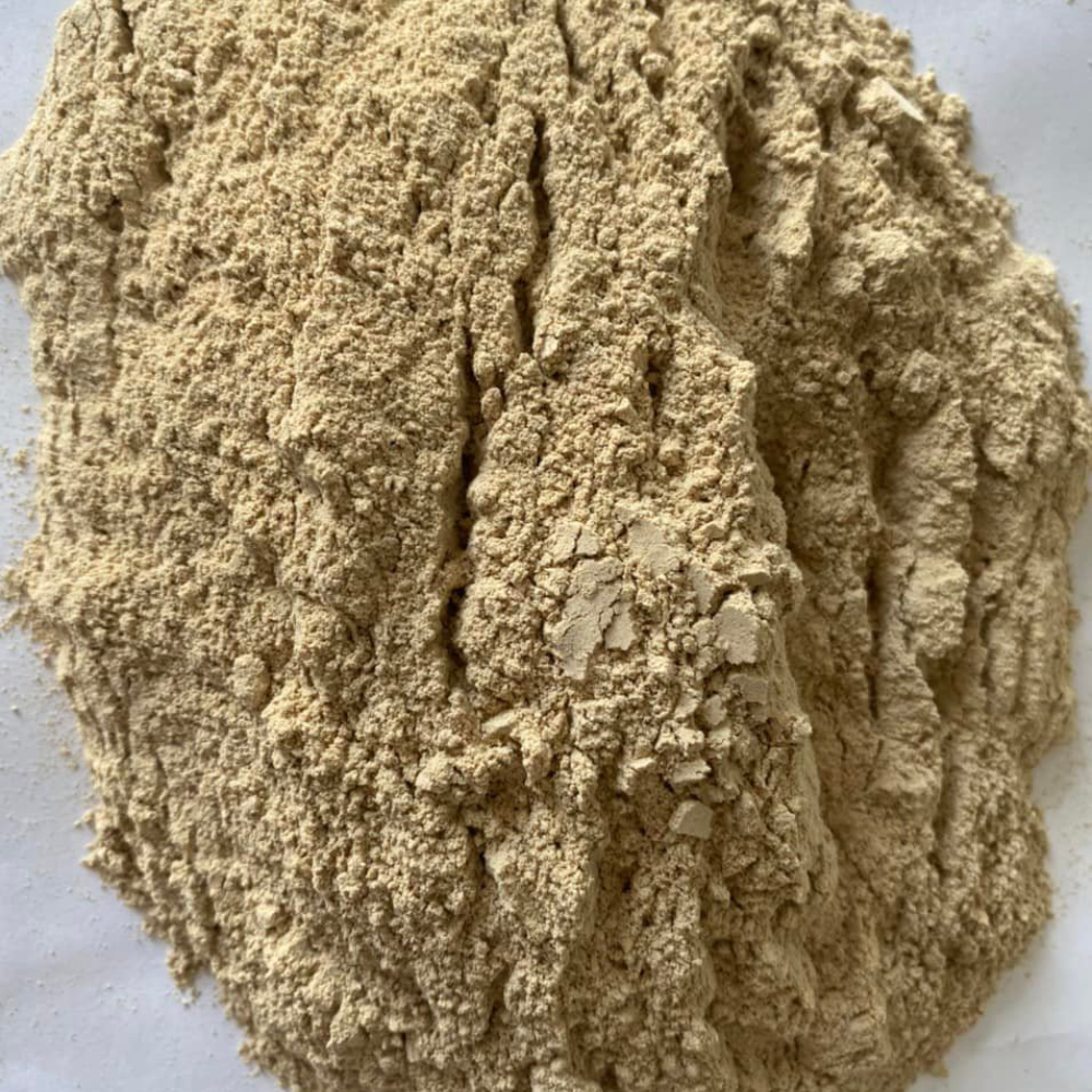 Trấu Nghiền Làm Giá Thể Trồng Cây Trong Nhà Kính – Giải Pháp Hiệu Quả Cho Nông Nghiệp Công Nghệ Cao