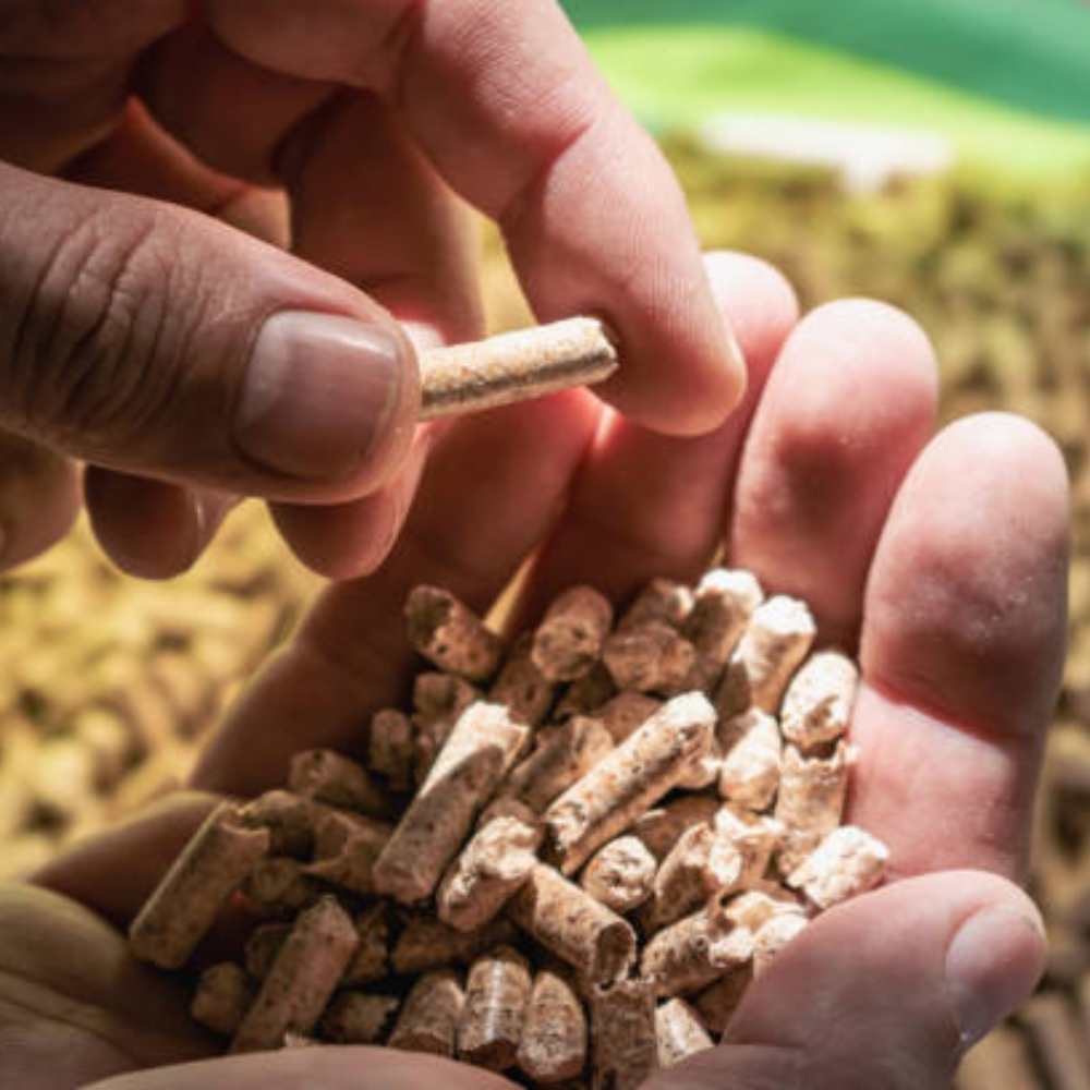 Vì Sao Trấu Viên Phải Được Nén Dưới Áp Lực Cao?