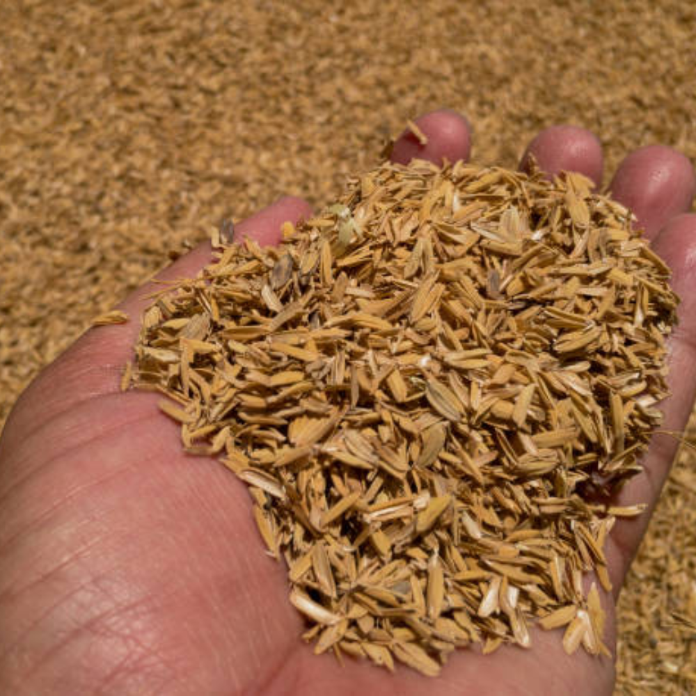 Vì Sao Vỏ Trấu Có Khả Năng Cháy Tốt?