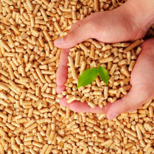 Trấu Viên Cho Hệ Thống Sấy Lúa – Giải Pháp Nhiên Liệu Hiệu Quả Cho Nông Nghiệp