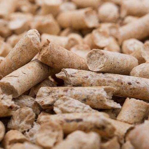 Làm Sao Nhận Diện Viên Nén Trấu Chất Lượng Cao? Tiêu Chí & Cách Đánh Giá