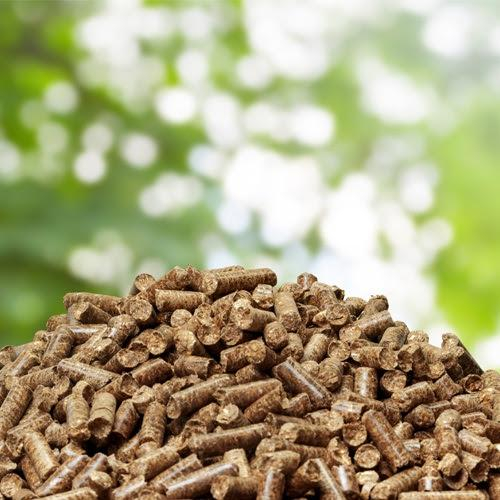 Viên Trấu Nén Và Viên Nén Gỗ Lựa Chọn Nào Là Tối Ưu Cho Doanh Nghiệp