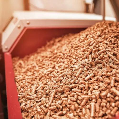 5 Bí Quyết Bảo Quản Viên Trấu Trông Mùa Mưa